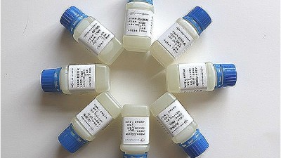 關(guān)于海水中防閃銹劑對不銹鋼的保護