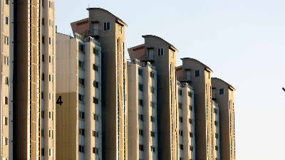 多彩保護膠在多彩涂料中的反應(yīng)原理