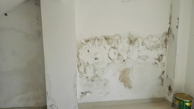 墻面滲水怎么處理?教你正確使用防水涂料